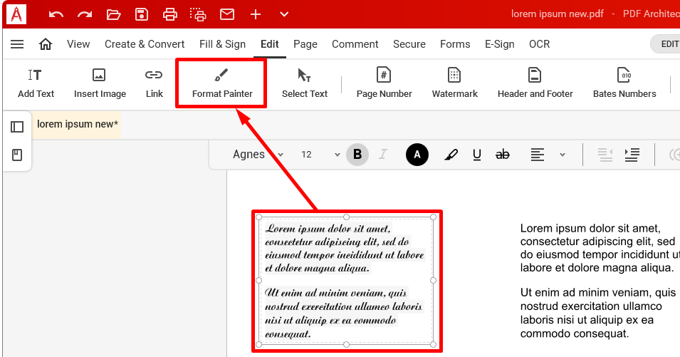 How to use the Format Painter? – PDF Architect